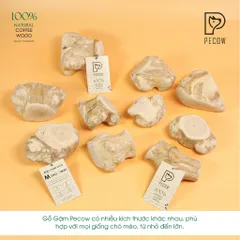 Gỗ gặm PeCow - Vệ sinh răng miệng, giảm căng thẳng size M