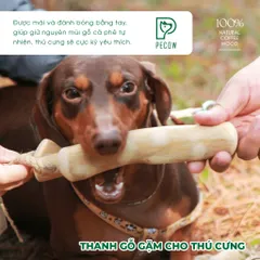 Thanh Gặm Xương Cho Chó Bằng Gỗ Cà Phê Tự Nhiên - Sản Phẩm An Toàn Cho Cún Cưng