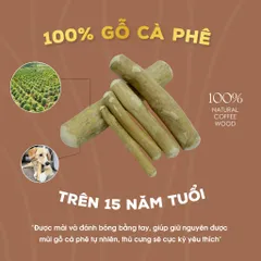 Chew Stick - Xương gặm cho chó bằng gỗ cà phê tự nhiên XXL / Giảm căng thẳng và lo âu