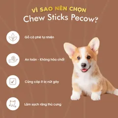 Chew Stick - Xương gặm cho chó bằng gỗ cà phê tự nhiên XXL / Giảm căng thẳng và lo âu