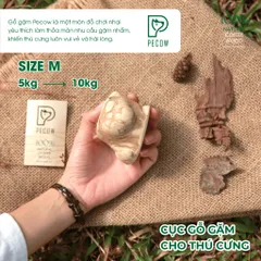 Gỗ gặm PeCow Size M - Vệ sinh răng miệng, giảm căng thẳng cho thú cưng