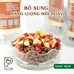 (Túi 100G) Hạt Dinh Dưỡng Cho Chó Captain Pecow - Ngon miệng – Bổ dưỡng – Dễ tiêu hóa