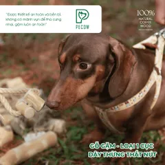 Gỗ gặm thắt nút bằng gỗ cà phê và dây thừng Size S bản 1 cục dành cho thú cưng
