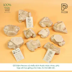 Gỗ gặm PeCow - Vệ sinh răng miệng, giảm căng thẳng size S