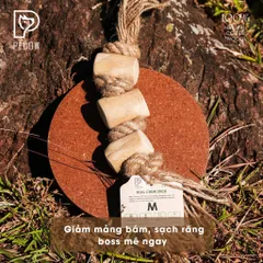 (Size M) Dây thừng thắt nút loại 3 cục từ gỗ cà phê - Giảm mảng bám, sạch răng cho thú cưng