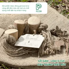 Gỗ gặm thắt nút bằng gỗ cà phê và dây thừng Size L bản 3 cục dành cho thú cưng