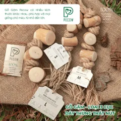 Gỗ gặm thắt nút bằng gỗ cà phê và dây thừng Size M bản 3 cục dành cho thú cưng