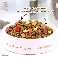 (Túi 1KG) Hạt Dinh Dưỡng Cho Chó Captain Pecow - Ngon miệng – Bổ dưỡng – Dễ tiêu hóa