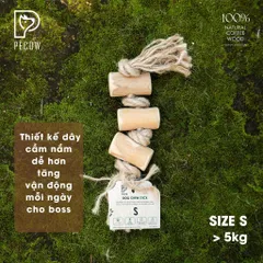 (Size S) Dây thừng thắt nút loại 3 cục từ gỗ cà phê - Giảm mảng bám, sạch răng cho thú cưng