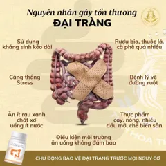 Thực phẩm chức năng Lacttocol Max Hỗ trợ trào ngược dạ dày, thực quản, viêm dạ dày, tá tràng 30 viên/ lọ. 874316