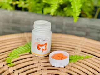 Thực phẩm chức năng Lacttocol Max Hỗ trợ trào ngược dạ dày, thực quản, viêm dạ dày, tá tràng 30 viên/ lọ. 874316