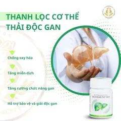 Thực phẩm chức năng giải độc gan Detoxmune Max giúp mát gan, giải độc gan tự nhiên, thải độc rượu bia thuốc lá 30 viên/ lọ