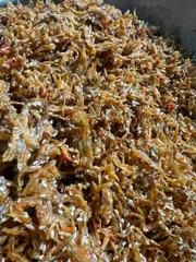 Cá Cơm Khô Rim Hủ 250g - Món Ăn Nhà Làm Cát Tiên