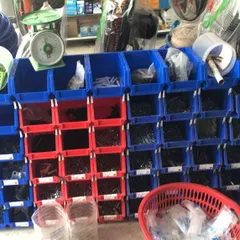 Khay Nhựa A5 {Combo 42 cái} Đựng Linh Kiện Ốc Vít Cỡ Nhỏ - Kệ Dụng Cụ Hòa An Plastic KT 20x13x9cm