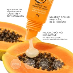 Son Dưỡng Môi Mật Ong Manuka & Đu Đủ Healthy Care Paw Paw Lip Balm 10g Úc Hỗ Trợ Khô Nứt Nẻ Môi