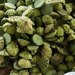 Hạt Sen Khô, hạt sen để nấu - hạt sen Minh Đức - 1kg, 500g, 250g