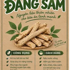 🌿 ĐẢNG SÂM KHÔ LOẠI 1 – NGUYÊN LIỆU THIÊN NHIÊN DỄ DÙNG MỖI NGÀY