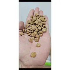 [BAO 15KG] Thức Ăn Hạt Cho Chó DOGDAY Cao Cấp - HƯƠNG VỊ HỒNG SÂM