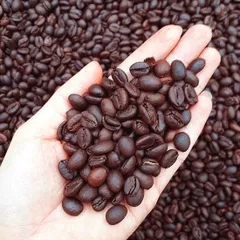 500g cà phê hạt rang mộc, cà phê hạt, cà phê hạt nguyên chất, cf hạt chưa xay, cà phê xay, hạt cà phê