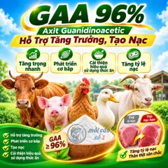 GAA 96% – Axit Guanidinoacetic hỗ trợ tăng trưởng và tạo nạc cho Heo, Bò, Dê, Gà, Vịt