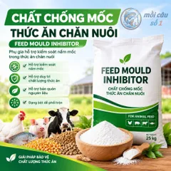 Chống mốc thức ăn chăn nuôi (Heo, Bò, Gà, Vịt, Tôm, Cá), thủy sản | Feed Mould Inhibitor