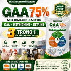 GAA 75% 3IN1 - Axit Guanidinoacetic + Methionine + Betaine | Hỗ trợ tăng trưởng và tạo nạc cho Heo, Bò, Dê, Gà, Vịt