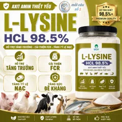 L-Lysine HCL 98.5% - Axit Amin hỗ trợ tăng trưởng, cải thiện hiệu quả thức ăn cho Heo, Bò, Gà, Vịt, Tôm, Cá
