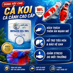 Betaine HCl 98% - Kích ăn mạnh, cải thiện khả năng hấp thụ dinh dưỡng, Tăng sức đề kháng trong chăn nuôi, thủy sản