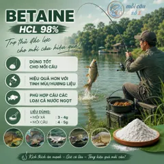 Betaine HCl 98% - Kích ăn mạnh, cải thiện khả năng hấp thụ dinh dưỡng, Tăng sức đề kháng trong chăn nuôi, thủy sản