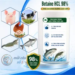 Betaine HCl 98% - Kích ăn mạnh, cải thiện khả năng hấp thụ dinh dưỡng, Tăng sức đề kháng trong chăn nuôi, thủy sản