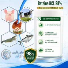Betaine HCl 98% - Kích ăn mạnh, cải thiện khả năng hấp thụ dinh dưỡng, Tăng sức đề kháng trong chăn nuôi, thủy sản