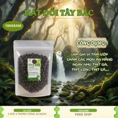 Hạt Dổi Nếp Cổ Thụ Chính Gốc Tây Bắc - Túi 100G