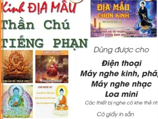 TN35 - THẺ NHỚ ĐỊA MẪU CHƠN KINH Thẻ 4G Chép Sẵn Sám Kinh Địa Mẫu Thầy Thích Huệ Duyên Tụng Trọn Bộ, Nhạc Thần Chú Phạn Ngữ 879559