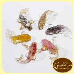 Cá koi phong thuỷ ,cá koi chiêu tài, có xu tài lộc, thả bát hoa minh đường tụ thuỷ thờ thần tài.