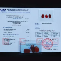 Bộ cốt thất bảo, cốt bát nhang chuẩn - Đầy đủ kèm Bột Ngũ Vị, Gạo Vàng, Nụ Trầm (KÈM THEO HƯỚNG DẪN CHI TIẾT)