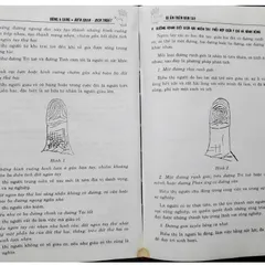 Bí Ẩn Trên Bàn Tay