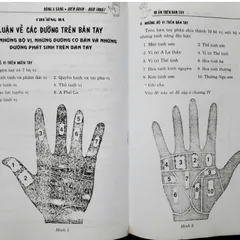Bí Ẩn Trên Bàn Tay