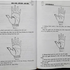 Bí Ẩn Trên Bàn Tay