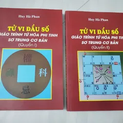 Tử Vi Đẩu Số Phi Tinh – Lương Nhược Du Phái (2 Tập)