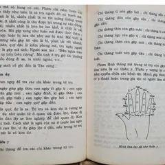 Nhập Môn Dự Đoán Thao Tứ Trụ