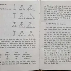 Nhập Môn Dự Đoán Thao Tứ Trụ