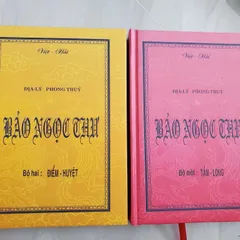 Bảo Ngọc Thư (Điểm Huyệt Tầm Long) – Việt Hải (Bộ 2 Tập)