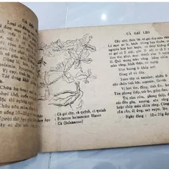 150 Cây Thuốc Nam Thường Dùng (Cũ Như Hình)