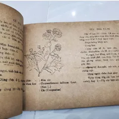 150 Cây Thuốc Nam Thường Dùng (Cũ Như Hình)