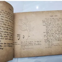 150 Cây Thuốc Nam Thường Dùng (Cũ Như Hình)