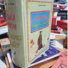 Cửu Tinh Phong Thủy