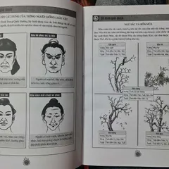 Tướng Mặt Ngũ Hành Giải Mệnh