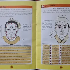 Tướng Mặt Ngũ Hành Giải Mệnh