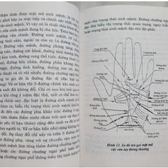 Y Tướng Học Truyền Thống Phương Đông