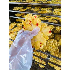 THƠM SẤY DẺO MUỐI ỚT KHÔNG ĐƯỜNG - XIMAFARM